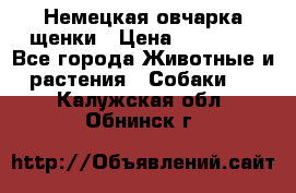 Немецкая овчарка щенки › Цена ­ 20 000 - Все города Животные и растения » Собаки   . Калужская обл.,Обнинск г.